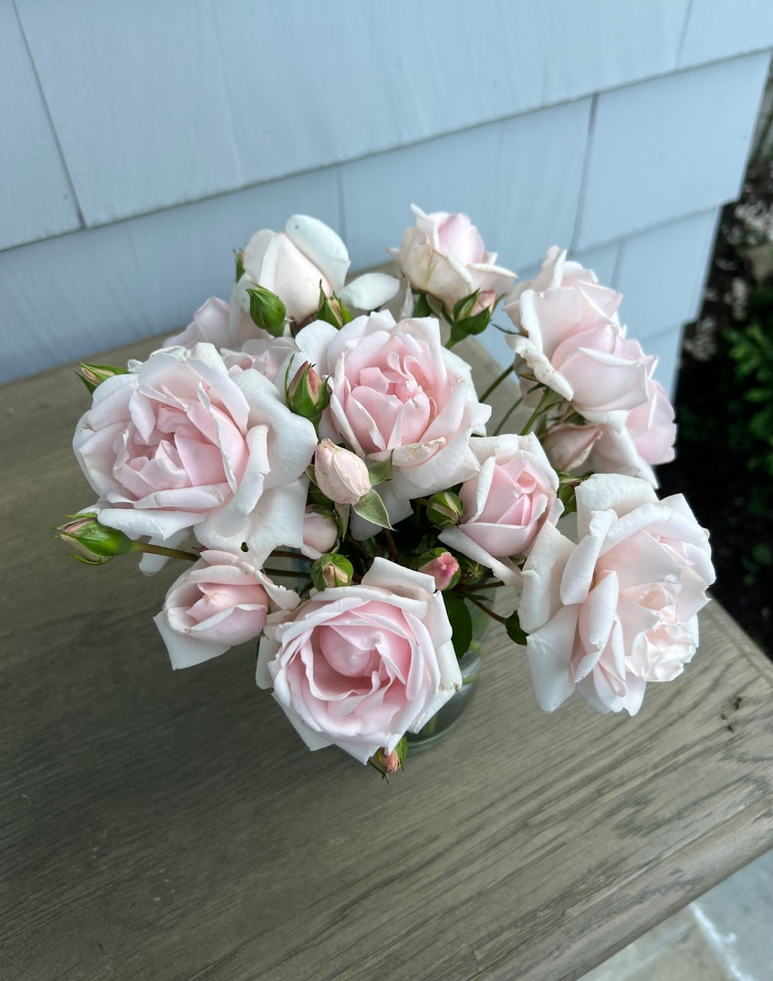 Rosie Jones Hori Culture Award